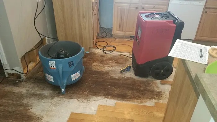 Flood Fighters Picture 9