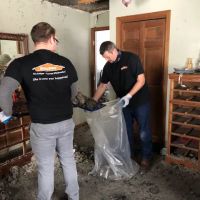 SERVPRO of Grand Traverse Area ico