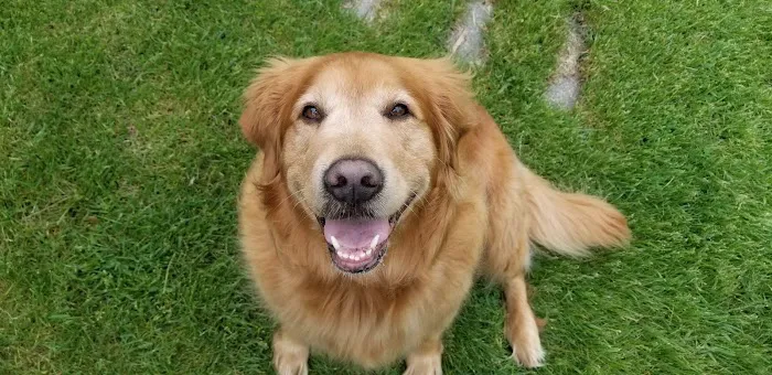 Top Job Property Picture 1