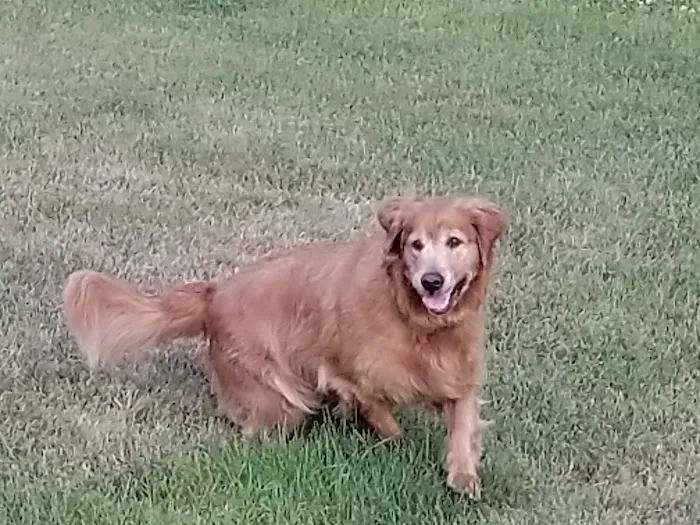 Top Job Property Picture 5