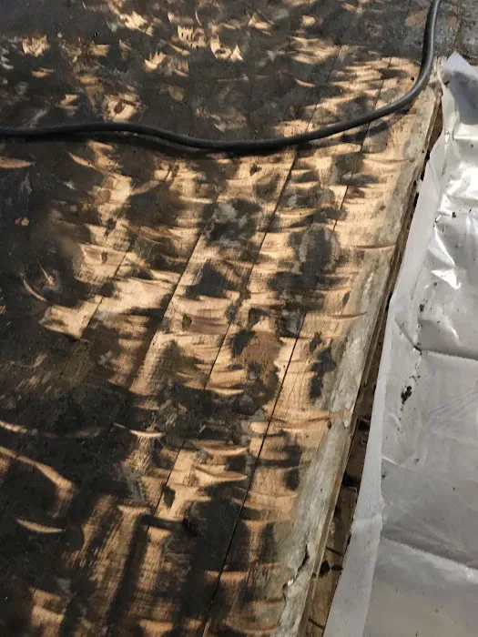 Environmental Services Picture 1