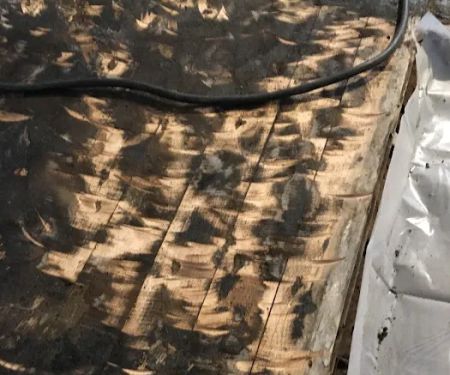 Environmental Services