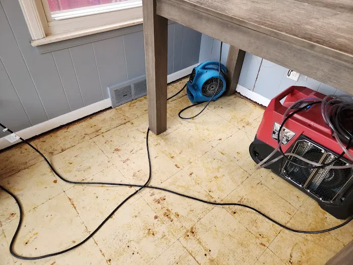 Sispa Solutions Picture 5