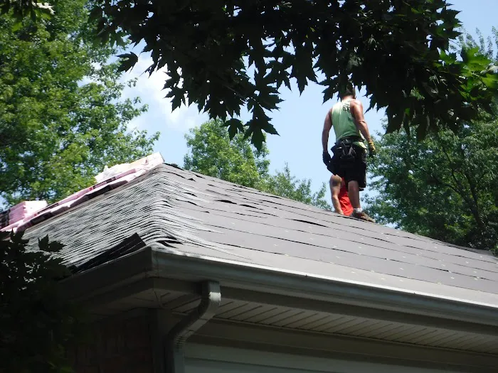 BCS Contractor And Chimney Sweep & Repair And Gas Fireplace Services LLC Picture 7