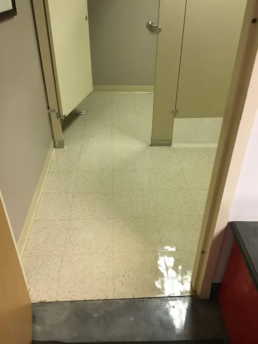 Sparkling Clean Carpet Care Picture 3