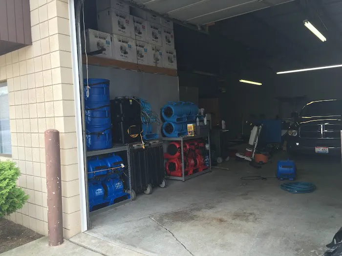 Sparkling Clean Carpet Care Picture 6