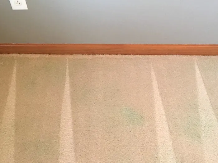Sparkling Clean Carpet Care Picture 4
