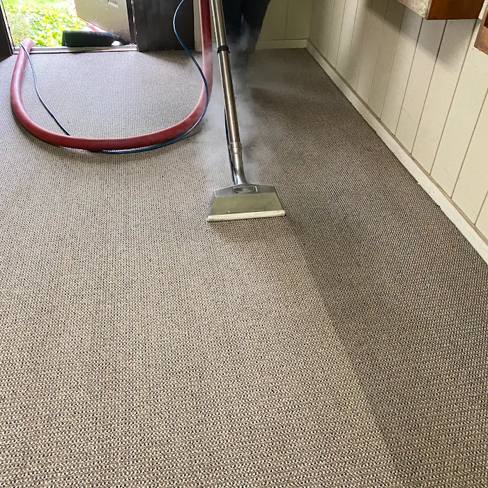 Sparkling Clean Carpet Care Picture 10