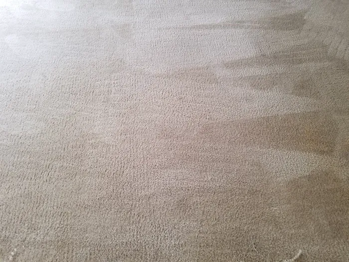 Legendary Carpet Care+ Picture 3