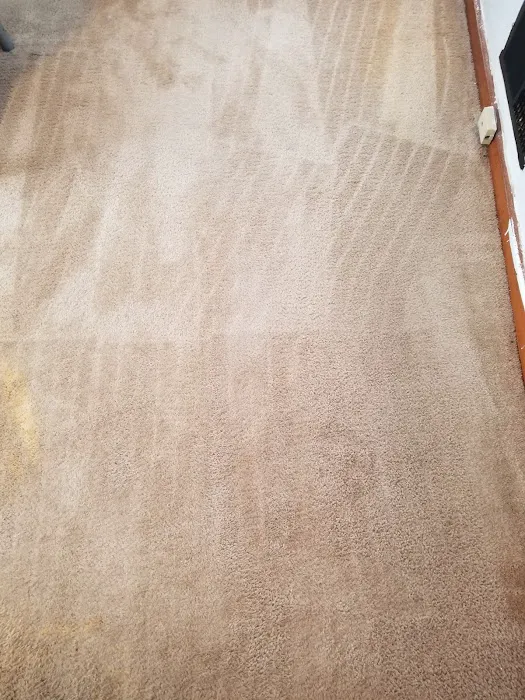 Legendary Carpet Care+ Picture 5