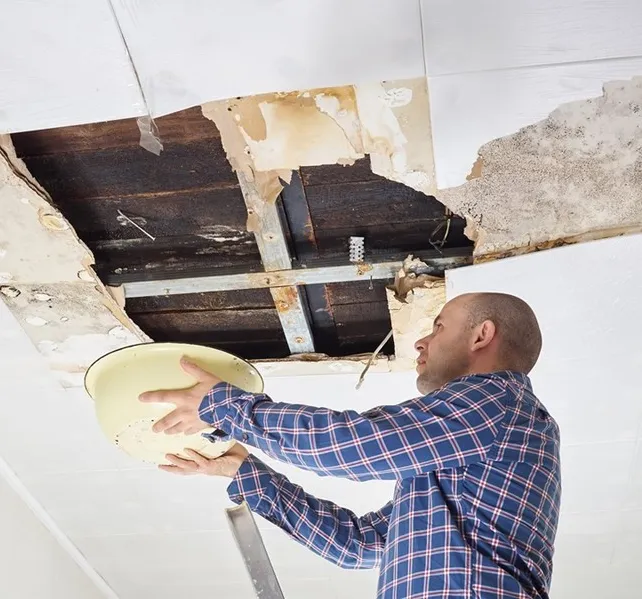 Rock City Water Damage and Mold Remediation Picture 4