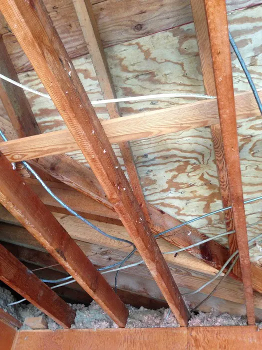 Crawlspace Remediation LLC Picture 4