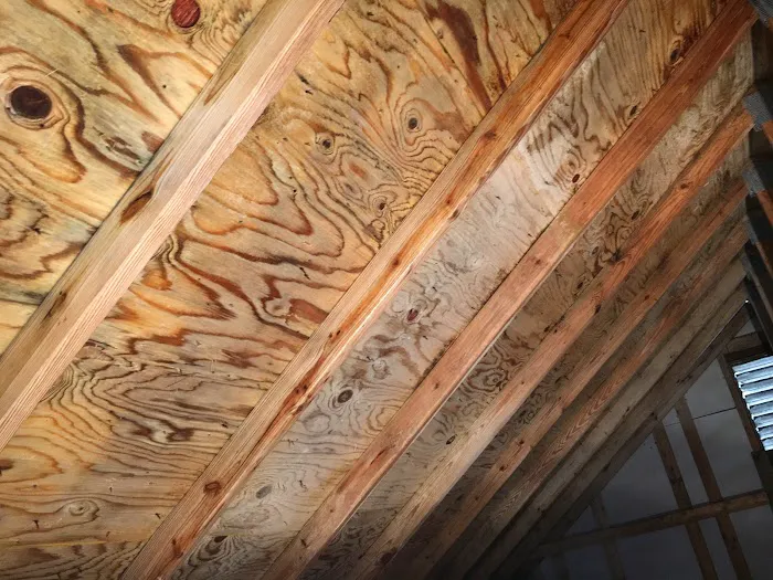 PuroClean of Bloomfield Hills Picture 6