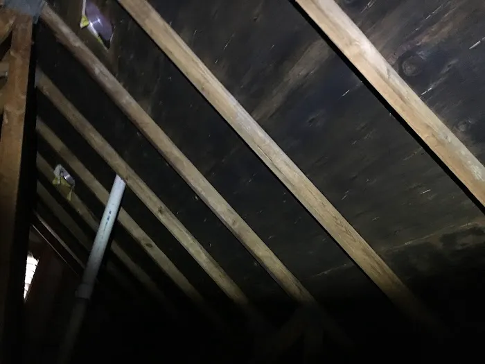 PuroClean of Bloomfield Hills Picture 1