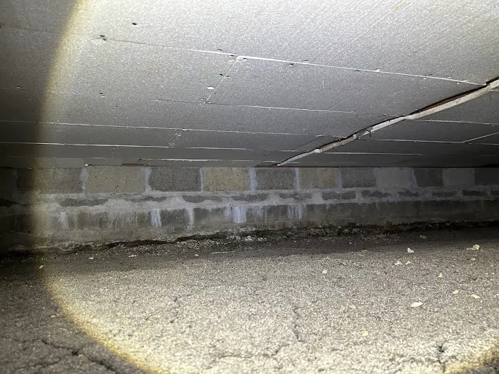 Restoration and Environmental Safety Technologies (REST Environmental) Picture 4