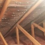 Restoration and Environmental Safety Technologies (REST Environmental)