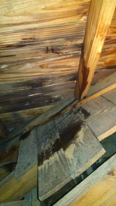 Restoration and Environmental Safety Technologies (REST Environmental) Picture 2