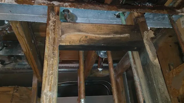 Restoration and Environmental Safety Technologies (REST Environmental) Picture 3