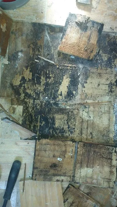 Restoration and Environmental Safety Technologies (REST Environmental) Picture 7