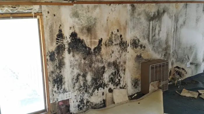 Restoration and Environmental Safety Technologies (REST Environmental) Picture 9