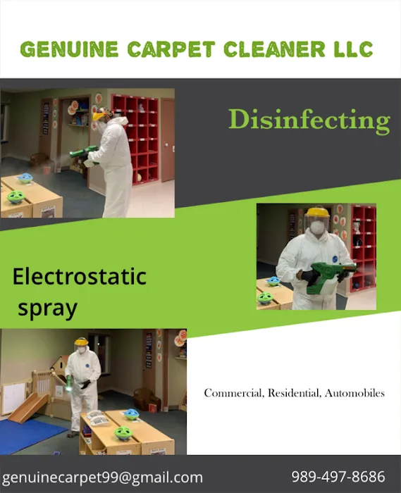 Genuine Carpet Cleaner Picture 8