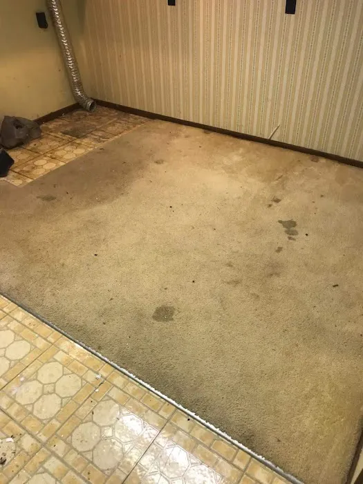 Genuine Carpet Cleaner Picture 1