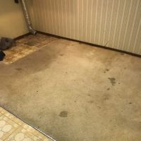 Genuine Carpet Cleaner ico