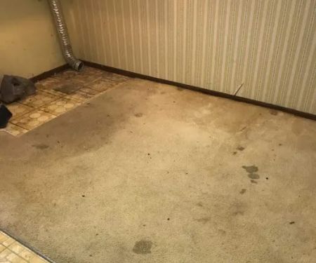 Genuine Carpet Cleaner