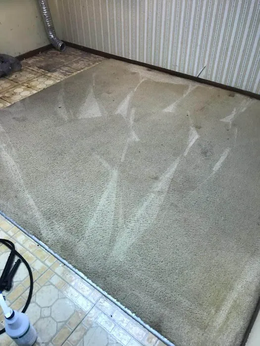 Genuine Carpet Cleaner Picture 9