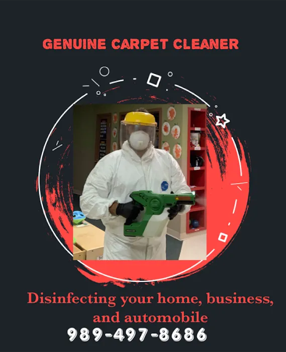 Genuine Carpet Cleaner Picture 5