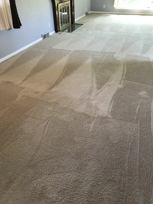 Genuine Carpet Cleaner Picture 4