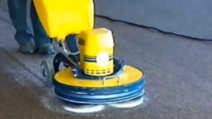 Genuine Carpet Cleaner Picture 3