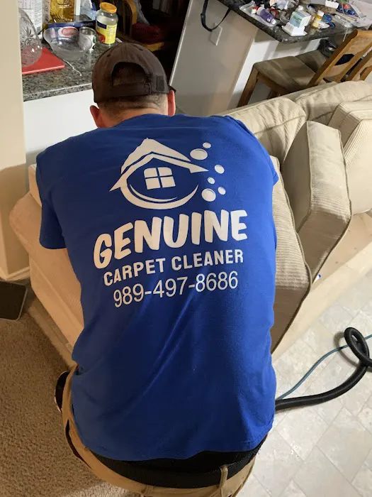 Genuine Carpet Cleaner Picture 7