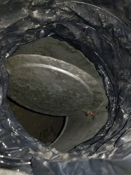 Stanley Steemer Picture 1