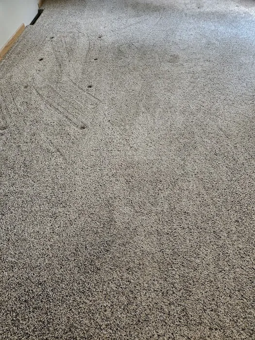 Stanley Steemer Picture 7