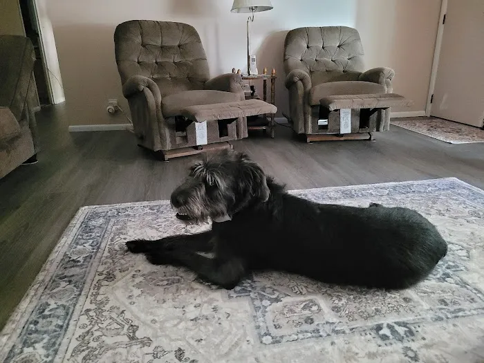 Stanley Steemer Picture 9