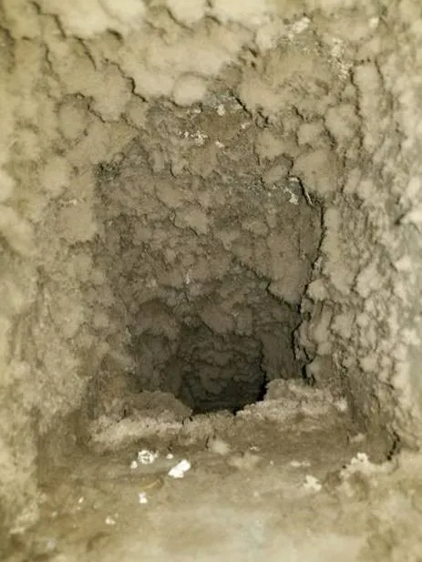 Stanley Steemer Picture 3