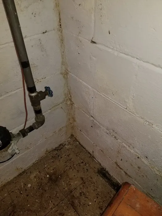 Paul Davis Restoration of East Michigan Picture 5