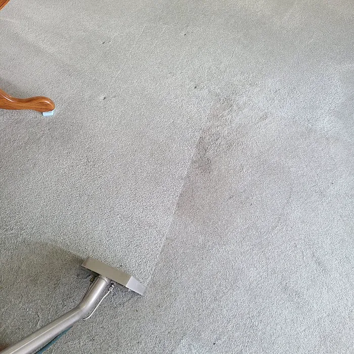 Area's Best Carpet & Upholstery Cleaning Picture 10