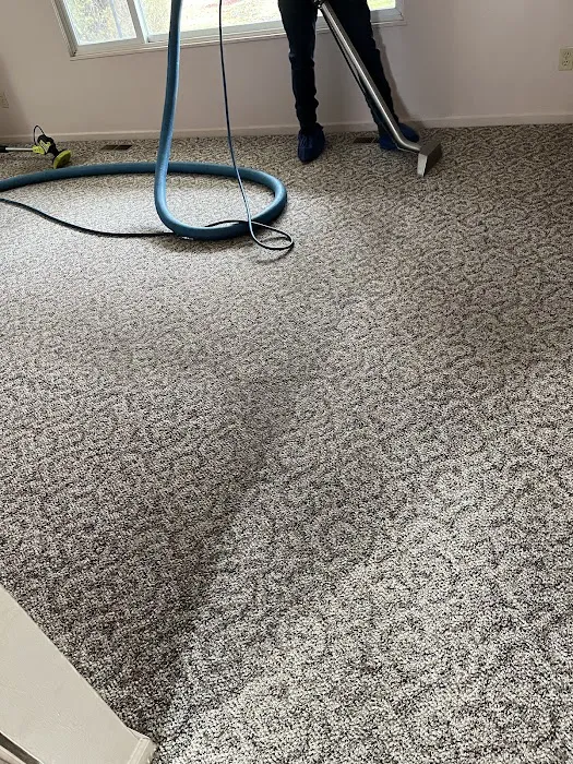 Area's Best Carpet & Upholstery Cleaning Picture 6