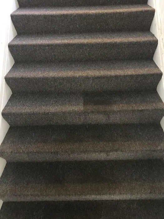 Area's Best Carpet & Upholstery Cleaning Picture 4