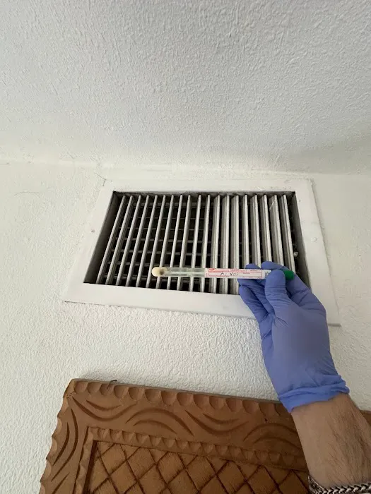 24H Mold Inspection of Michigan Picture 5