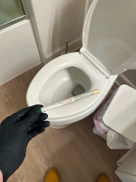 24H Mold Inspection of Michigan Picture 10