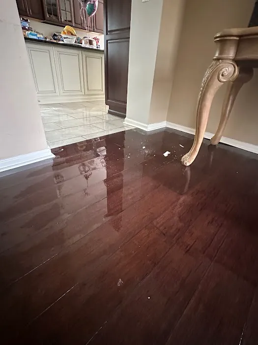 DRY SPACE PROPERTY RESTORATION & EQUIPMENT RENTAL Picture 8