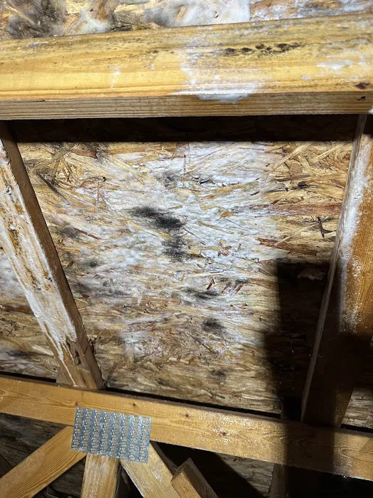 DRY SPACE PROPERTY RESTORATION & EQUIPMENT RENTAL Picture 6