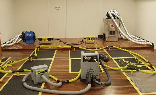 Somerset Water Damage Experts Picture 8