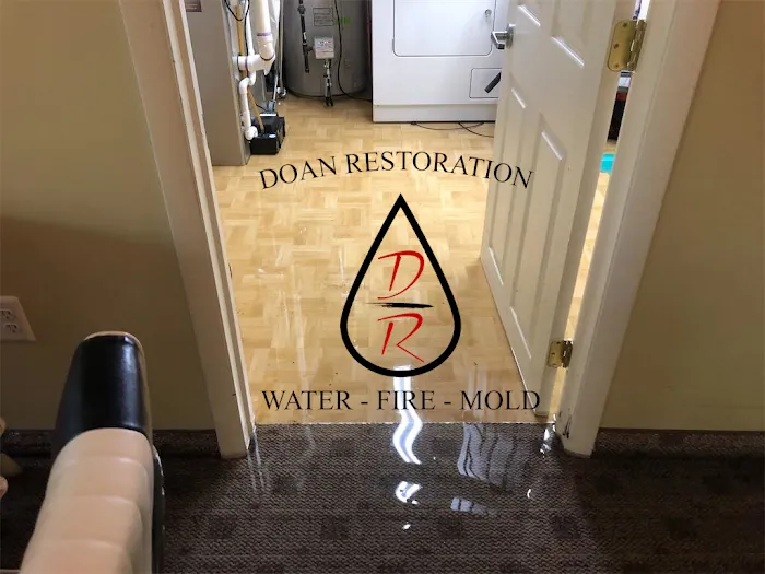 Doan Restoration of Michigan, LLC Picture 2