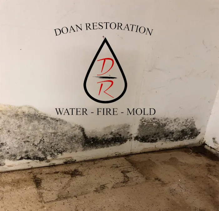 Doan Restoration of Michigan, LLC Picture 3