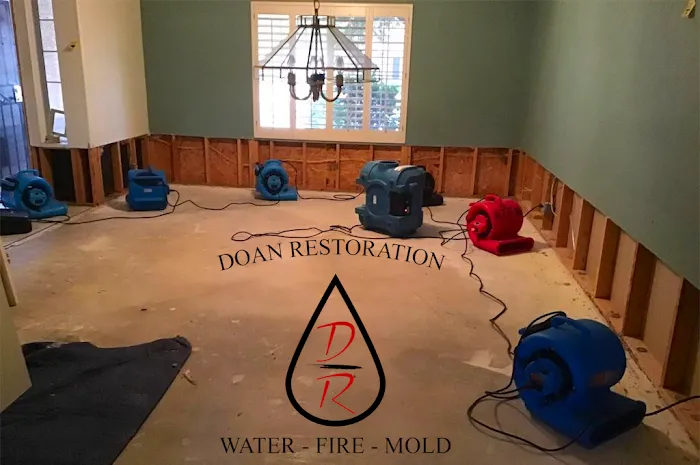 Doan Restoration of Michigan, LLC Picture 8