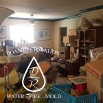 Doan Restoration of Michigan, LLC